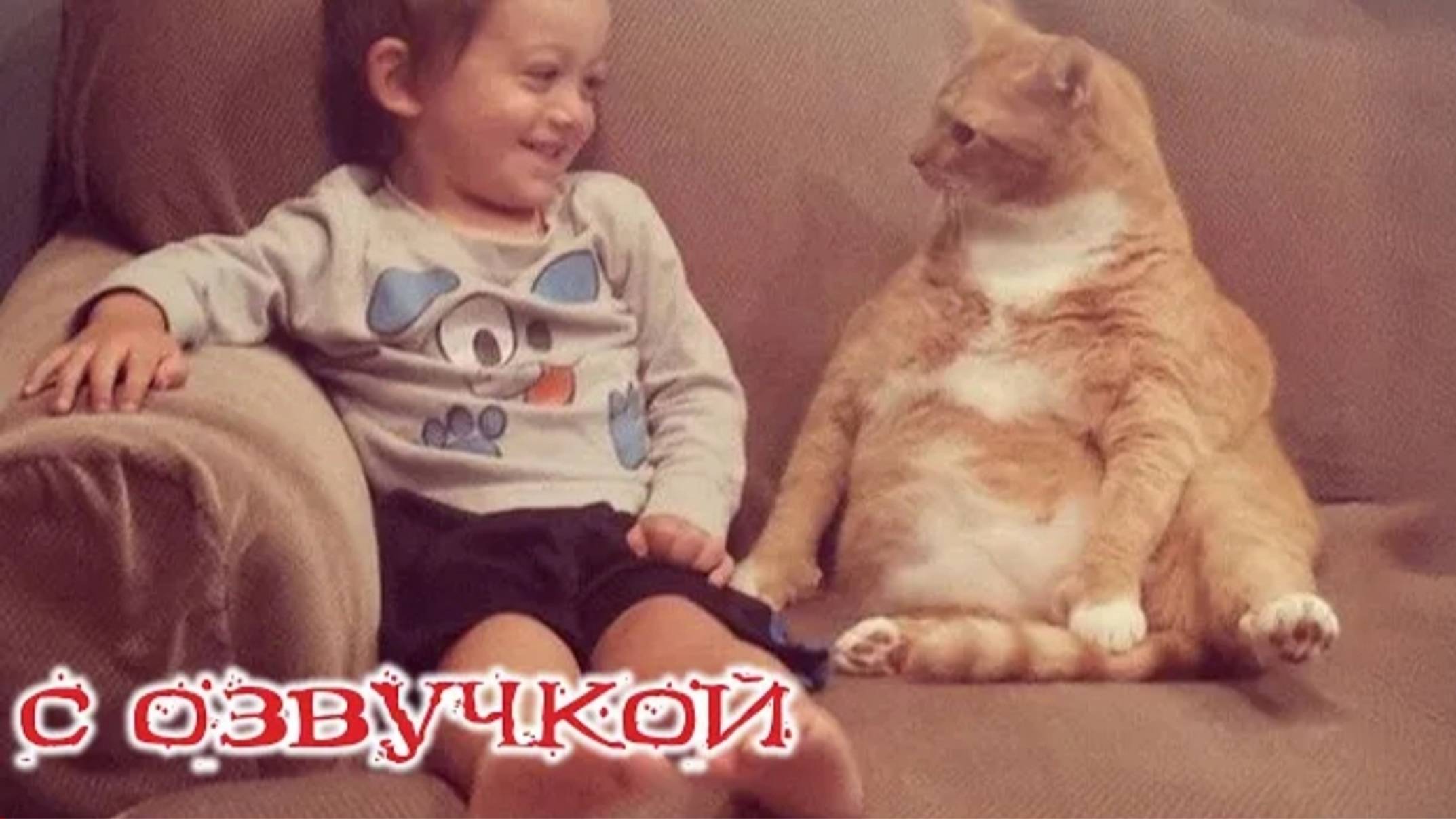 ПРИКОЛЫ С КОТАМИ Самая смешная озвучка животных РЖАКА ДО СЛЕЗ