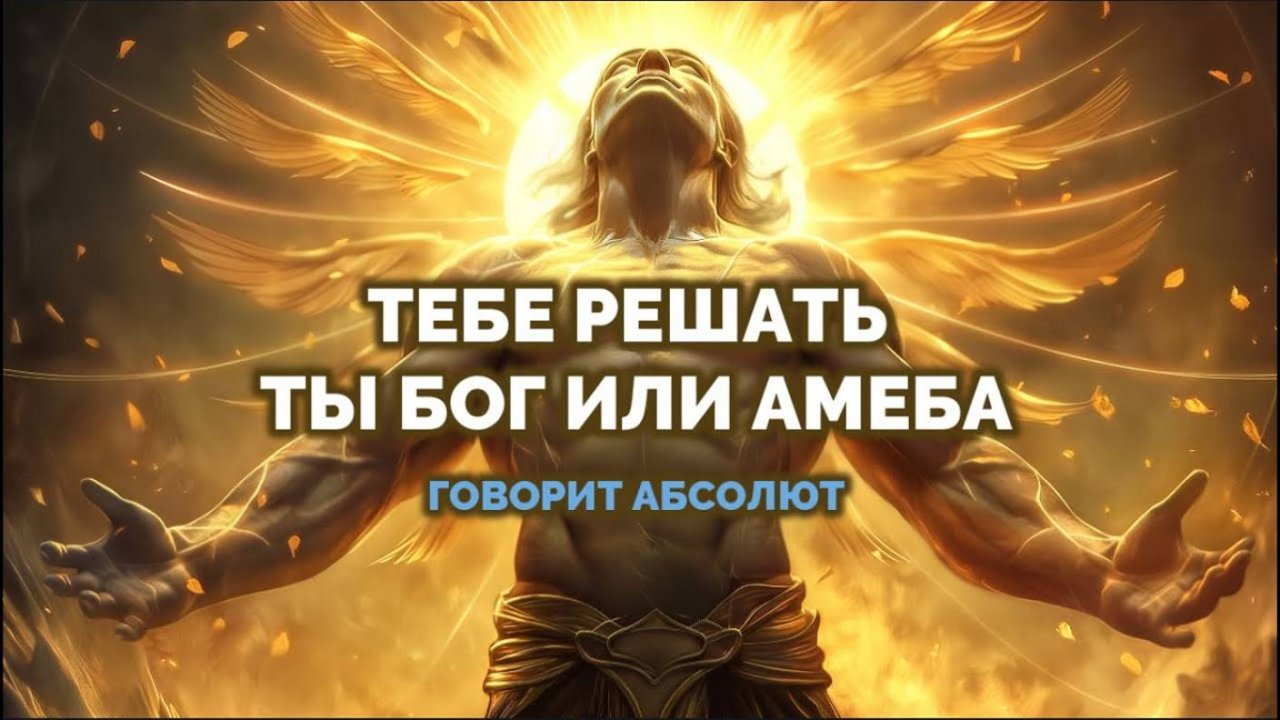 ТЕБЕ РЕШАТЬ ТЫ БОГ ИЛИ АМЕБА: ГОВОРИТ АБСОЛЮТ