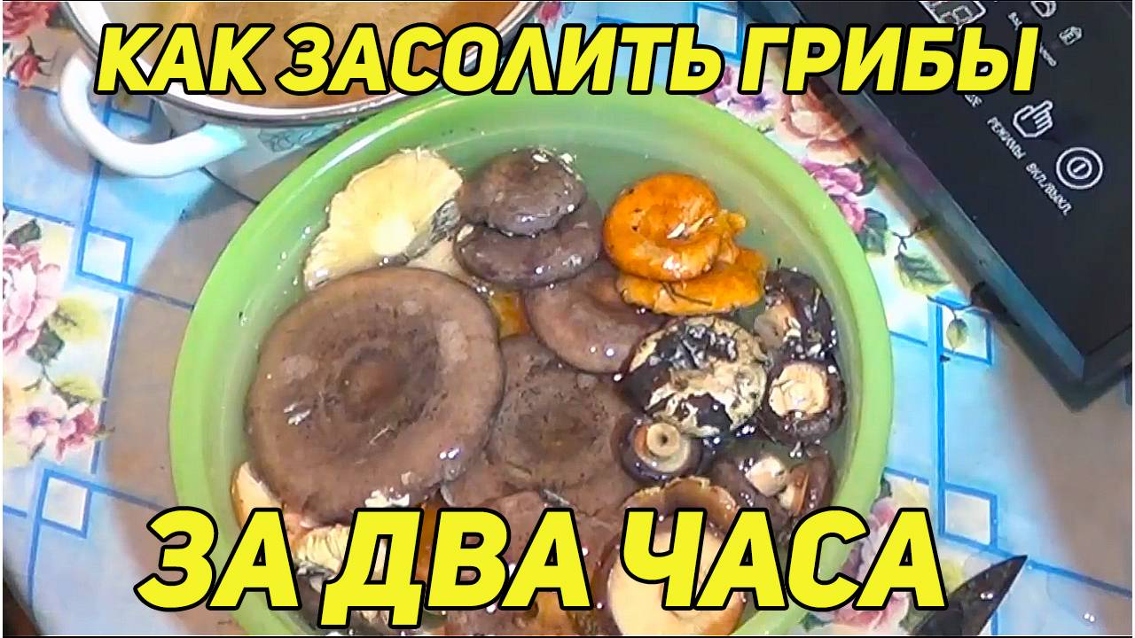 Как засолить грибы за два часа. ( грузди, рыжики, волнушки, гладыши ) Простой и эффективный способ