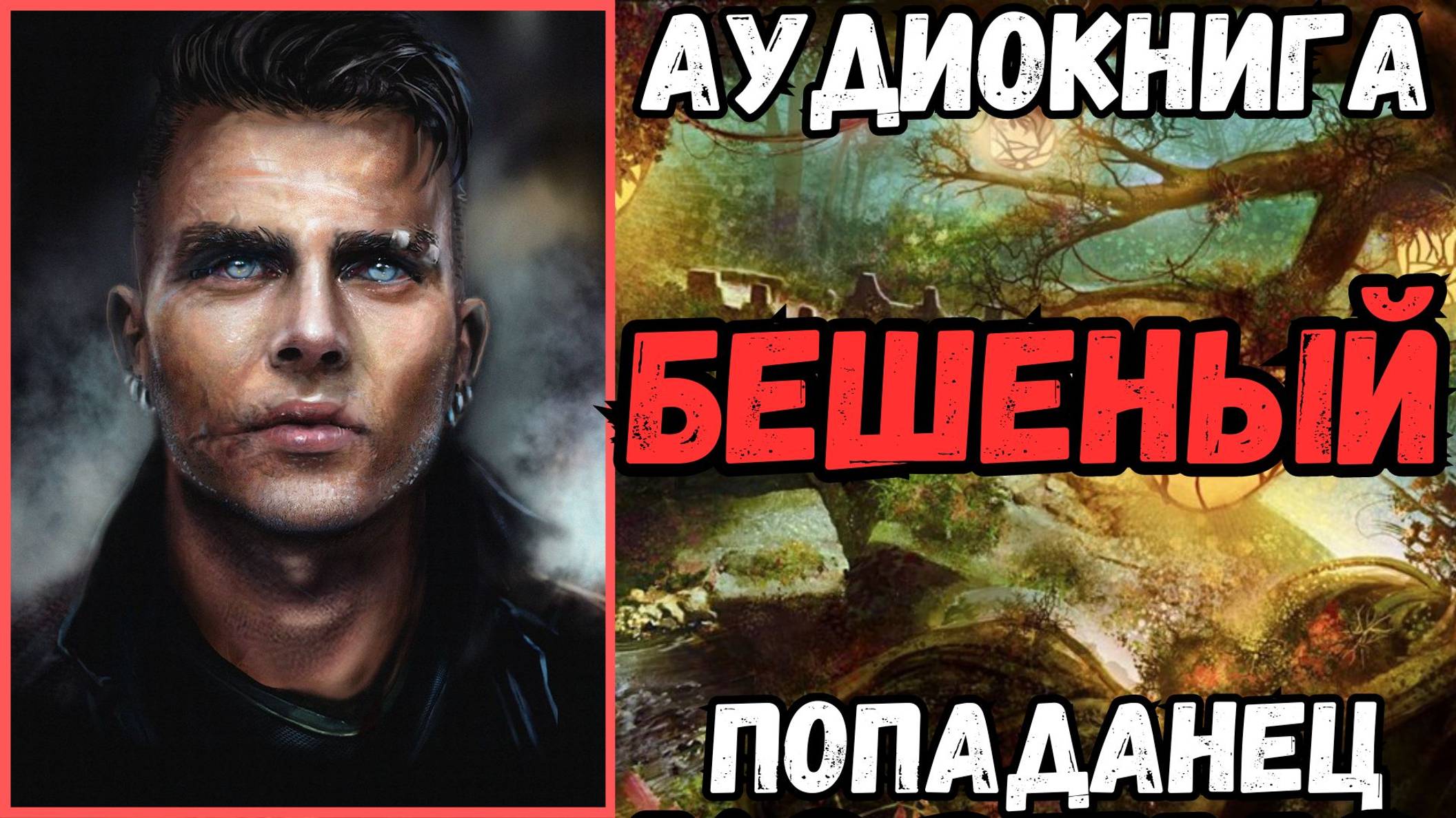 Аудиокнига | ПОПАДАНЦЫ: Бешеный