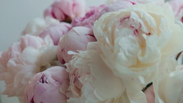 4502464-uhd_4096_2160_25fps
