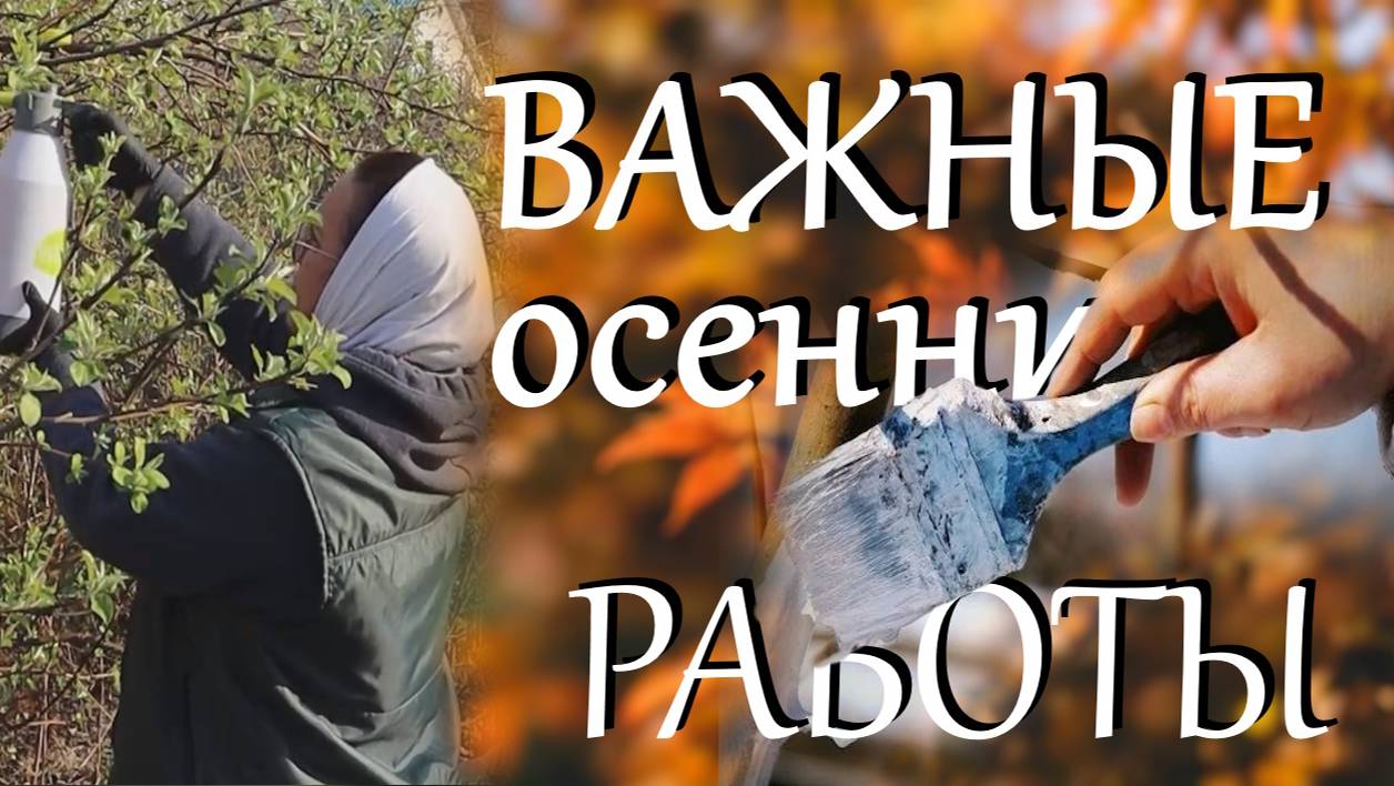 Что надо сделать осенью а саду, чтобы укрепить иммунитет растений помочь им перезимовать