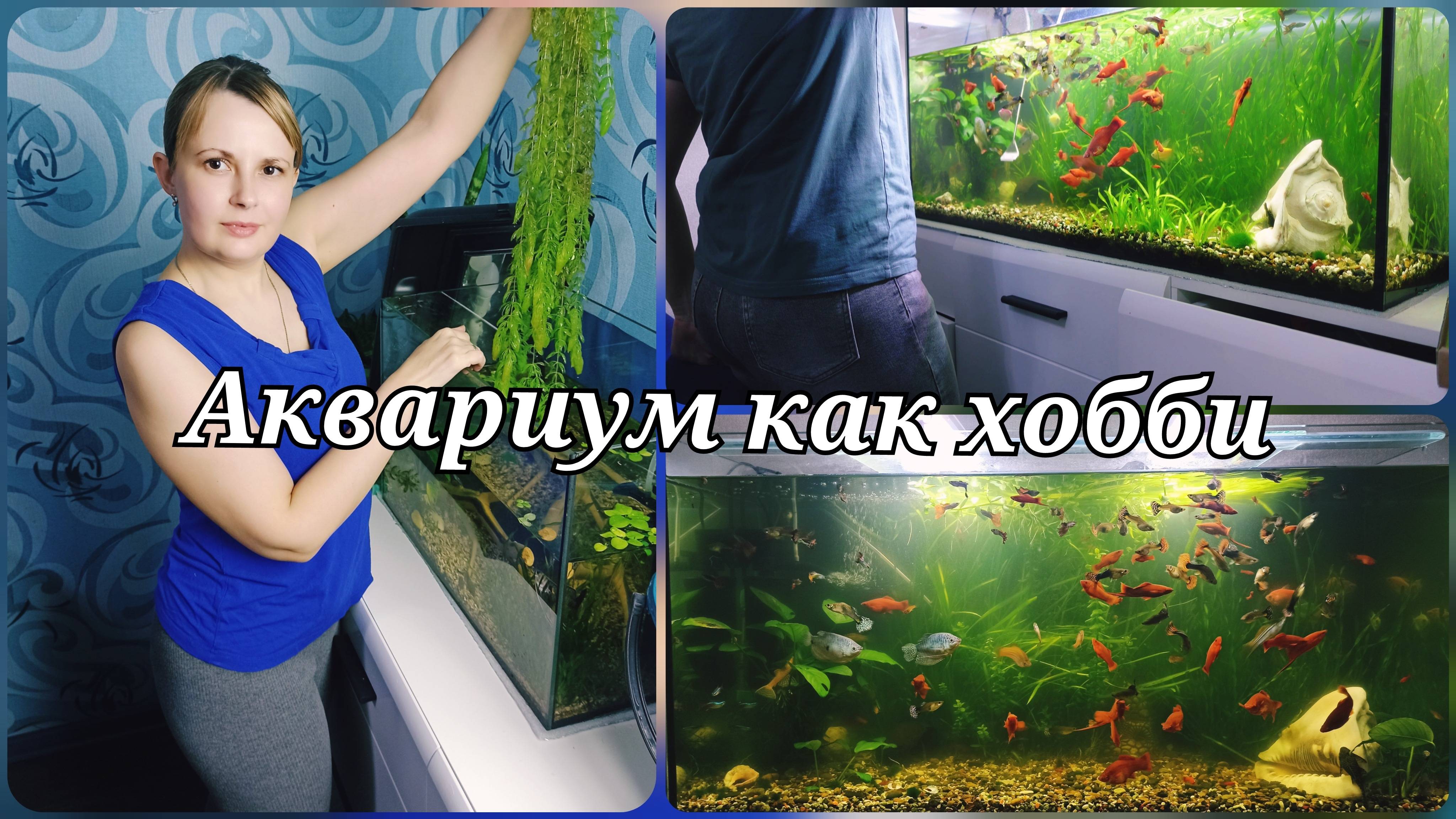АКВАРИУМ КАК ХОББИ 🔥 ДОМАШНИЙ АКВАРИУМ 🔥 АКВАРИУМ НА 200 ЛИТРОВ