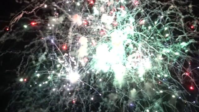 855431-hd_1920_1080_24fps