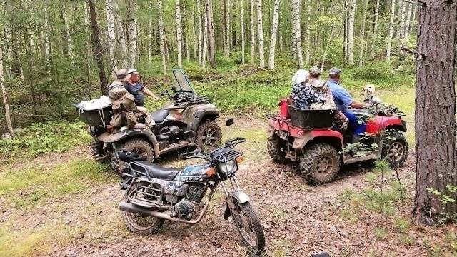 В ТАЙГУ ЗА ЯГОДОЙ.ГОЛОДНЫЙ ГОД