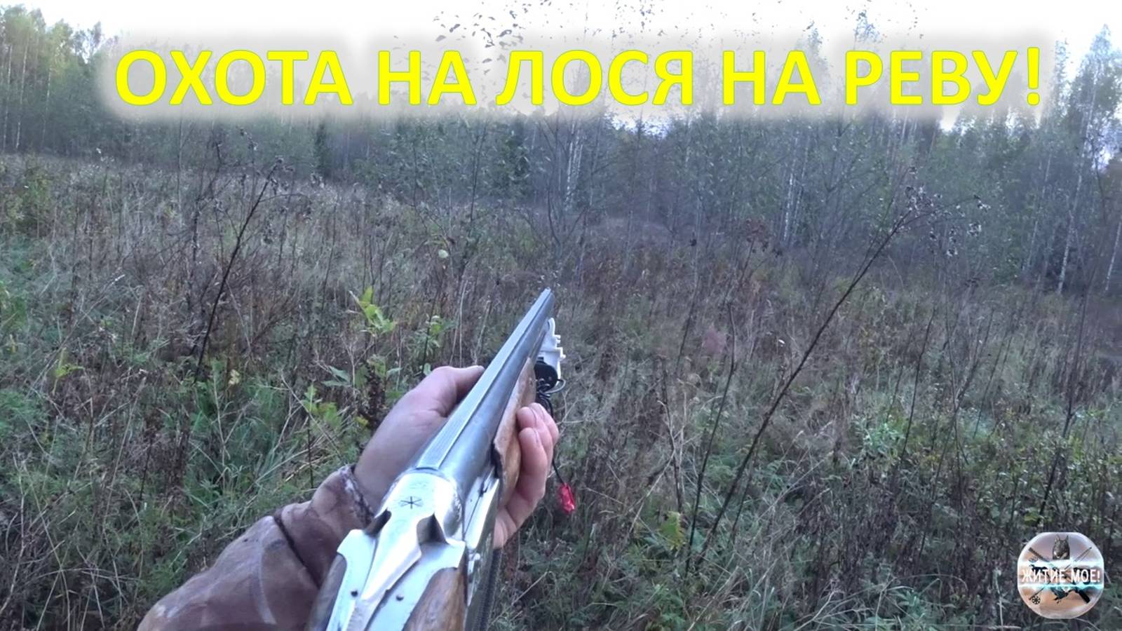 Осення охота на копытных. Охота на лося на реву
