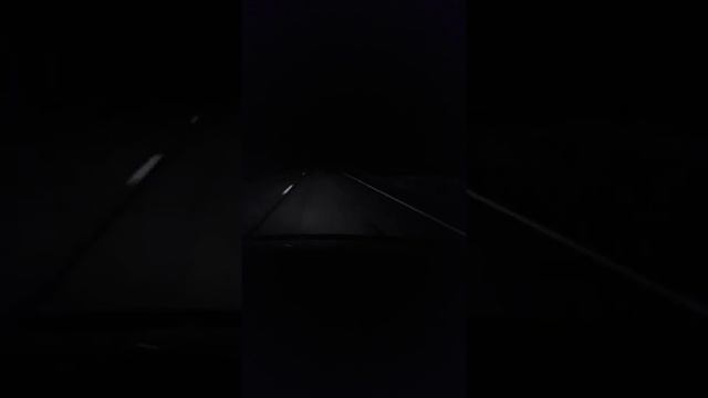 дельфин-надежда