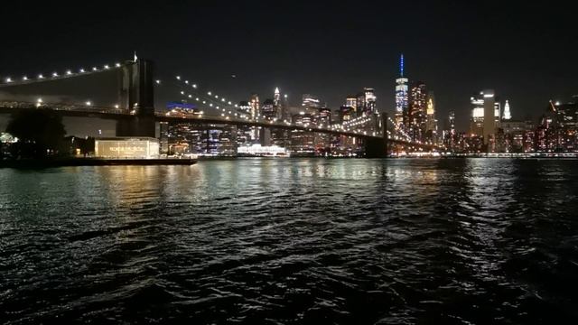 5688095-hd_1920_1080_30fps