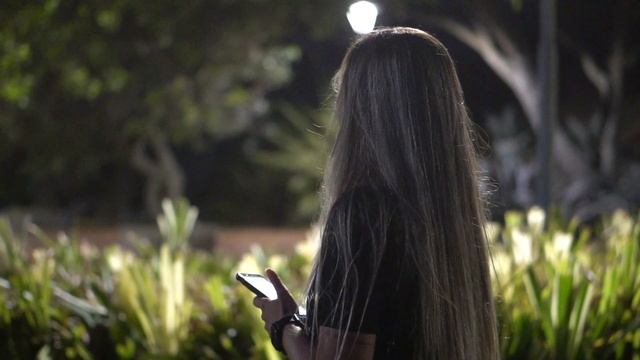 5444725-hd_1920_1080_24fps