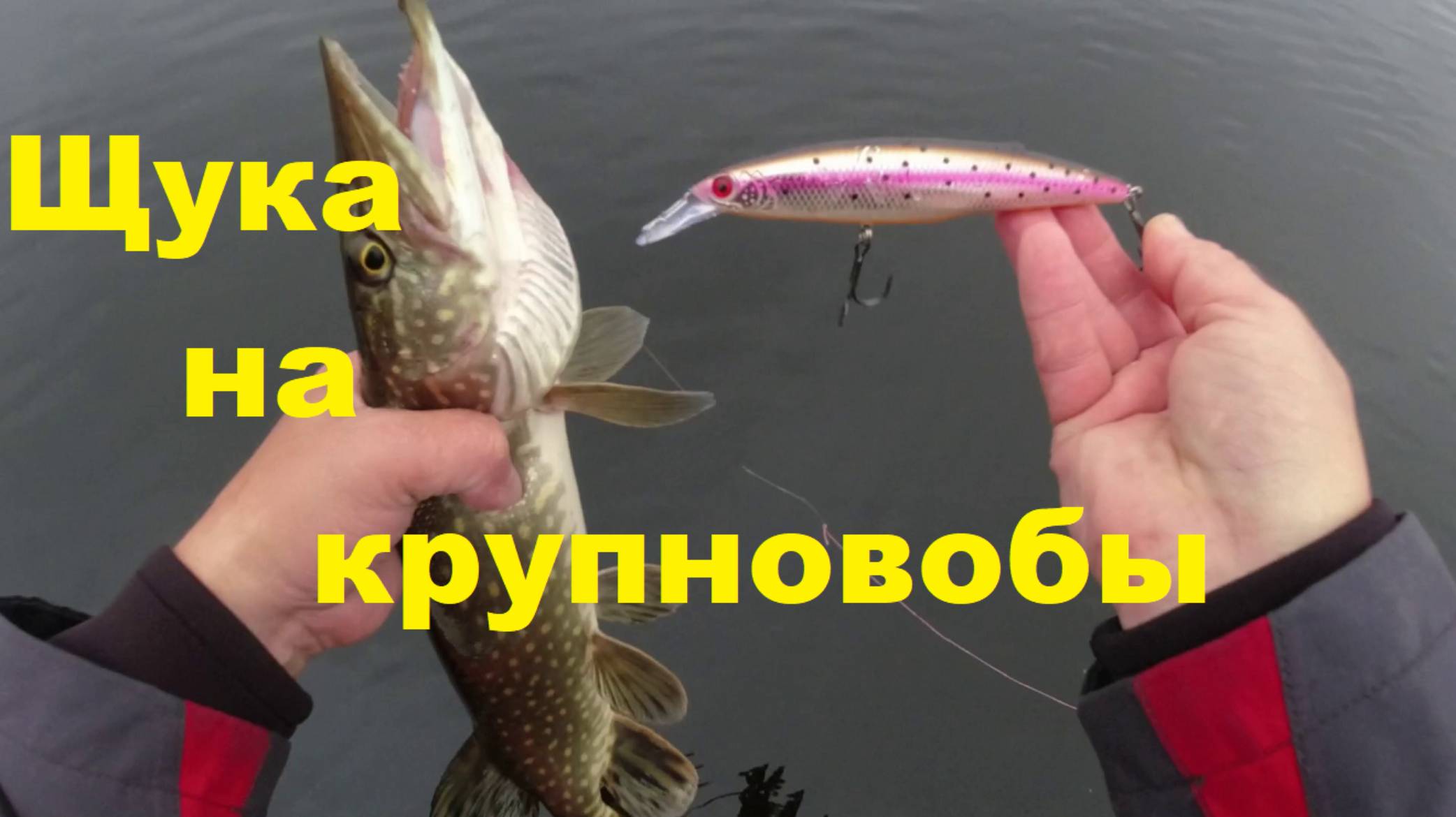 Ловля щуки на крупные воблеры
