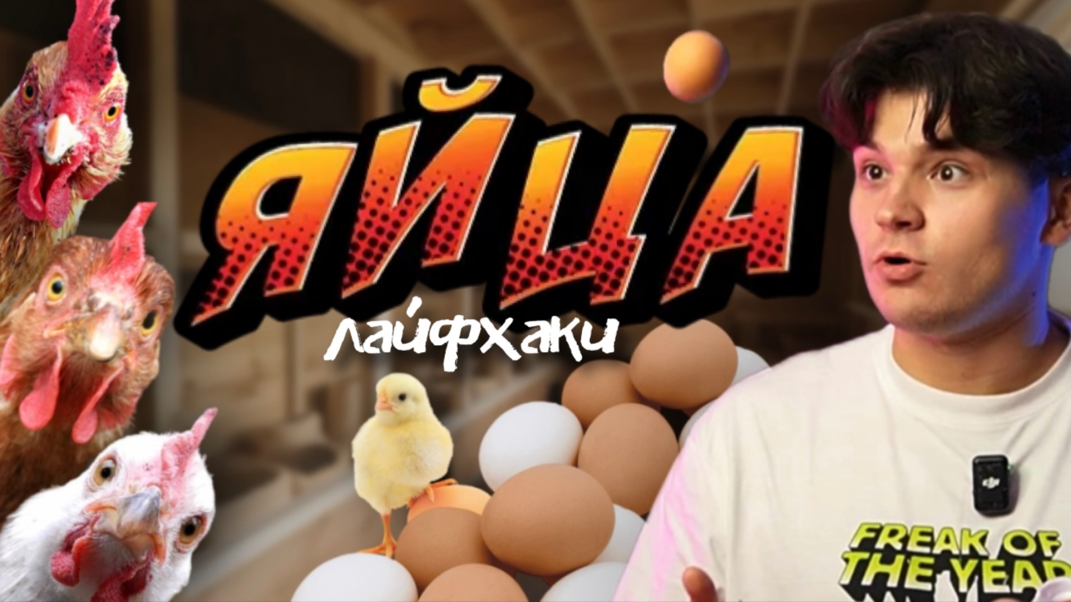 ЛАЙФХАКИ С ЯЙЦАМИ