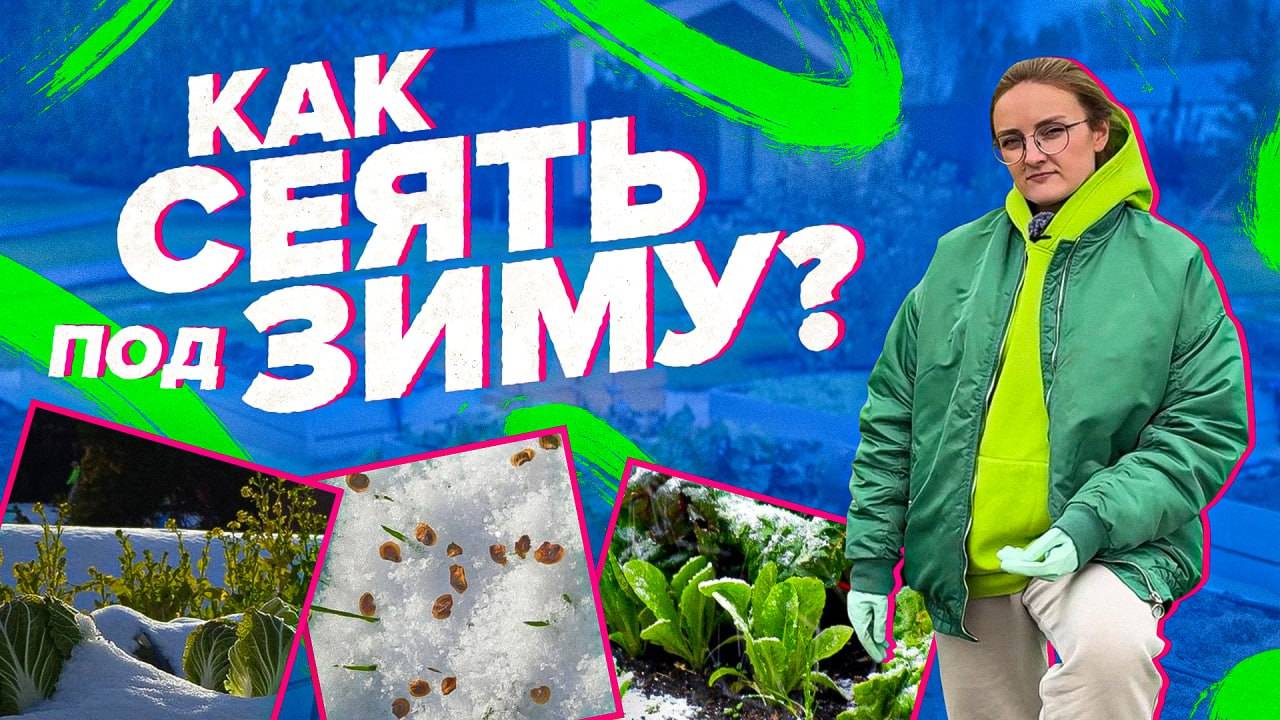 ПОДЗИМНИЙ ПОСЕВ. КАК ЭТО ДЕЛАТЬ ПРАВИЛЬНО?