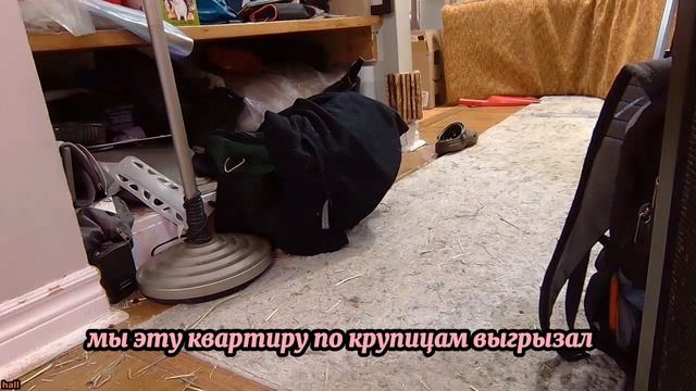 Жена спит с БОССОМ! Проследил за ними до квартиры и…- Удивительные истории Измен Жены - Драмы Судьб