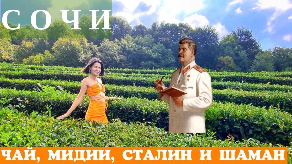 Что посмотреть в Сочи Мидийное место в Сочи. Чайные плантации в Мацесте. Дача Сталина. Сочи осенью.