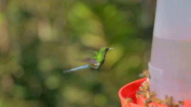 6471944-hd_1280_720_24fps