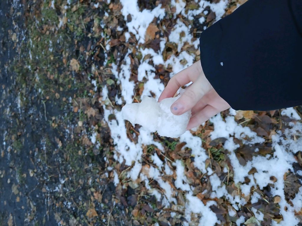 наука