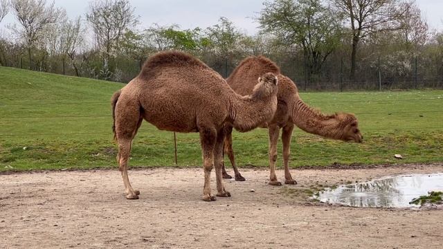 11915798-hd_1920_1080_30fps