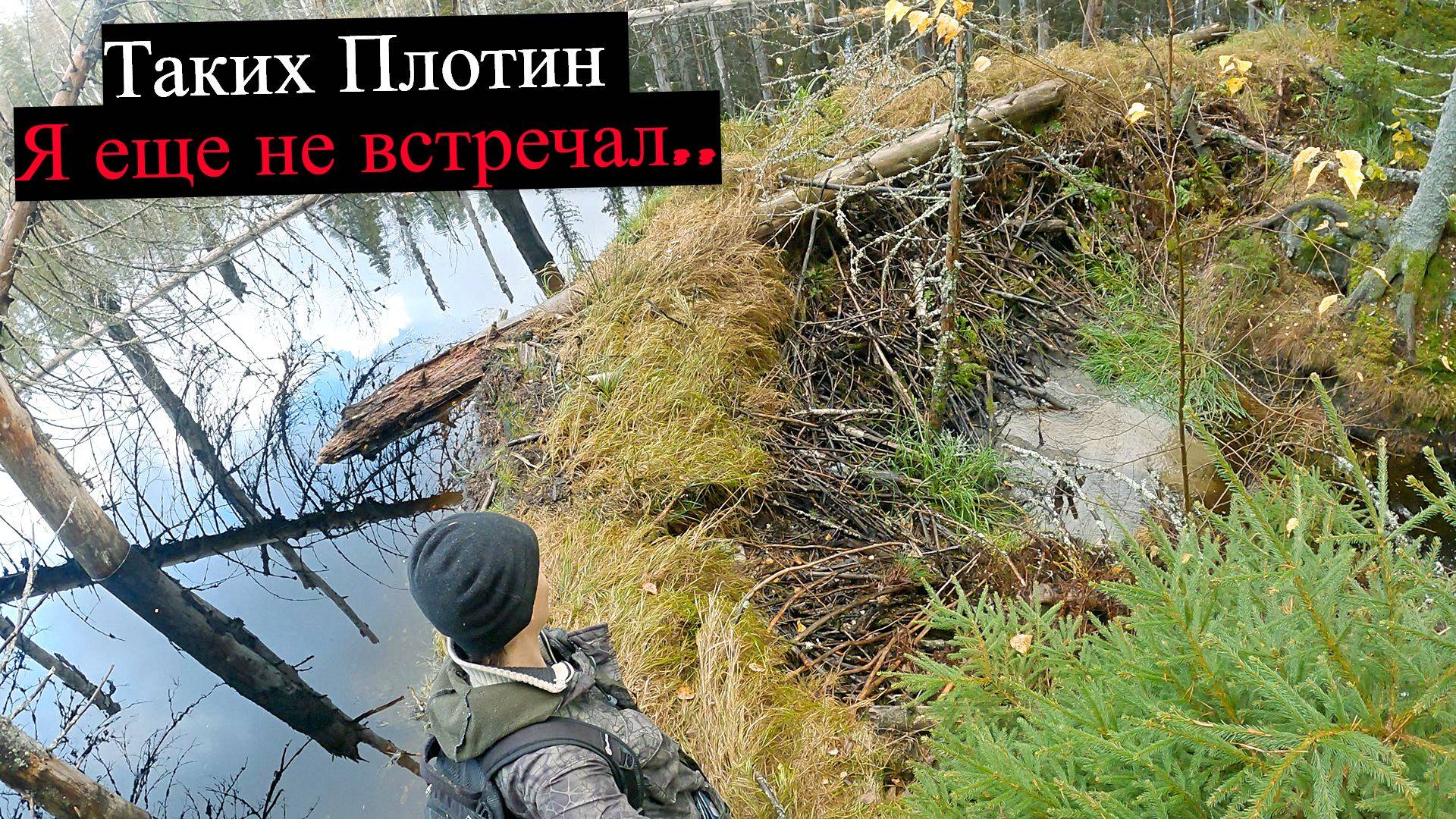 Одиночный Поход по Дикой Тайге с Неожиданной Компанией. Таких Бобриных Плотин Я еще Не Видел.. UHD