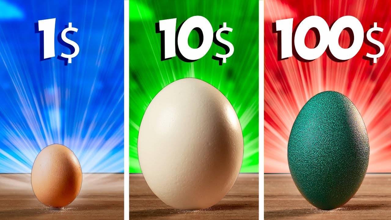 1$ vs 10$ vs 100$ ЯЙЦО #сезонконтентаRUTUBE