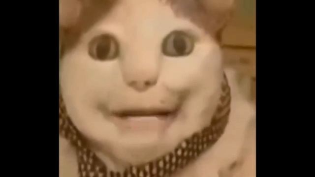 SVID_20241107_163207_1.mp4