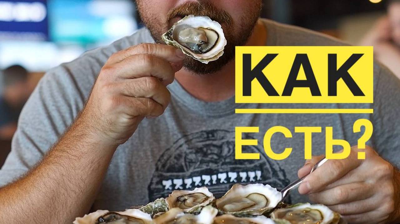 Устрицы: как есть, сколько стоят, виды, обзор.