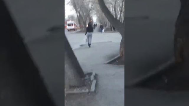 жопа вот это жопа