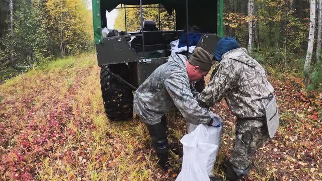 Поездка за кедровымы орехи на каракате "Тундра 3" Тест-драйв на 50 км в одну сторону