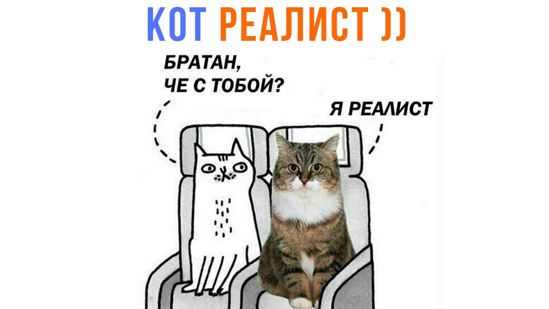 КОТ РЕАЛИСТ ))) | Приколы с котами | Мемозг 1519