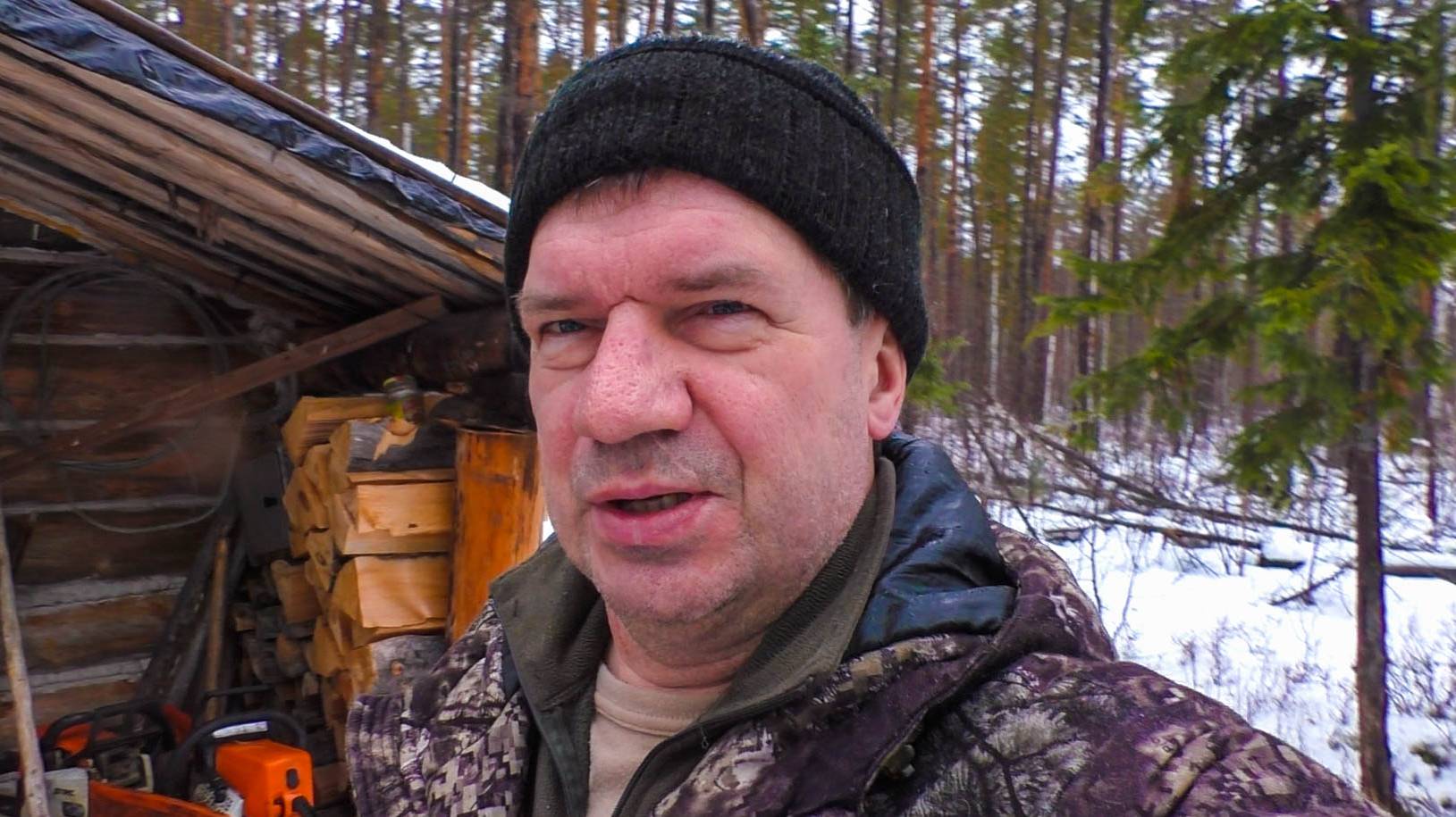 Собаки добыли мне лося. Ветка создает проблему.