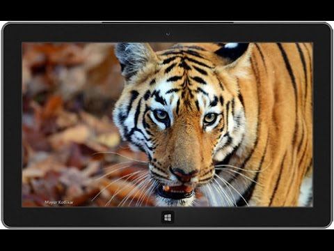РУССКИЙ БОЕВИК След тигра 2016 Новые боевики и криминальные фильмы
