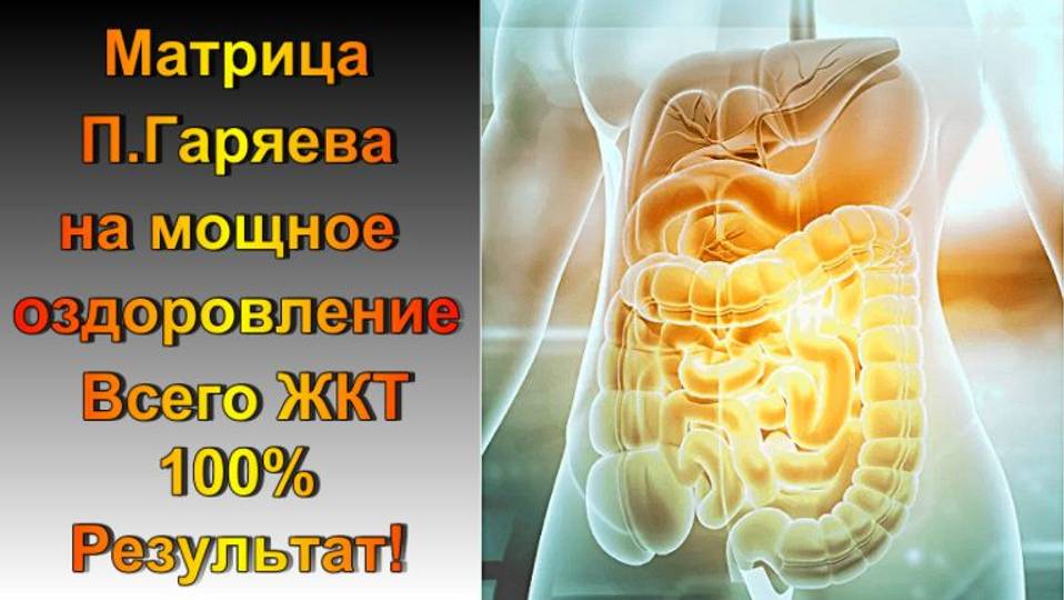 Мощная Матрица П. Гаряева для оздоровления всего ЖКТ ☀️ Квантовое исцеление звуком ☀️