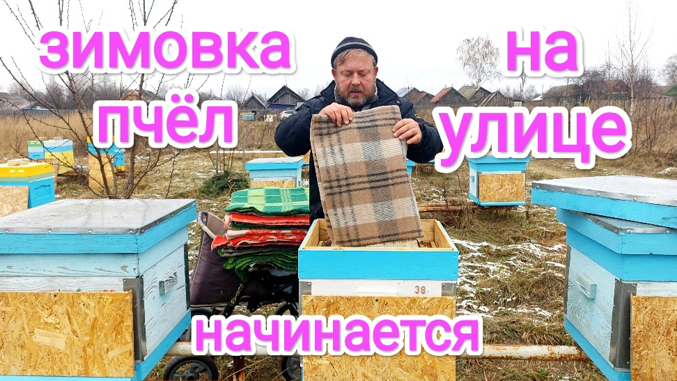 Утепление и вентиляция пчёл, при зимовке на улице! Пчеловодство!