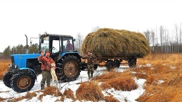 НОЯБРЬ.СЕНОКОС ПО СИБИРСКИ.ВЫВОЗИМ ОСТАТКИ СЕНА.