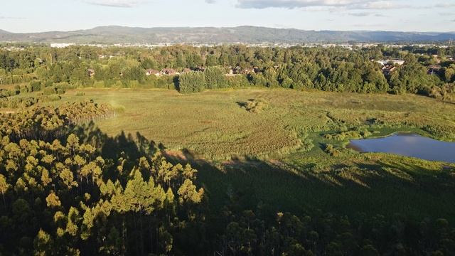 20403815-uhd_3840_2160_60fps