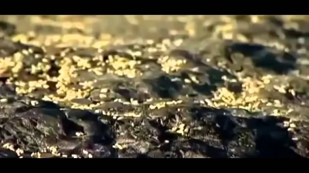 Аномальные зоны Секретные территории