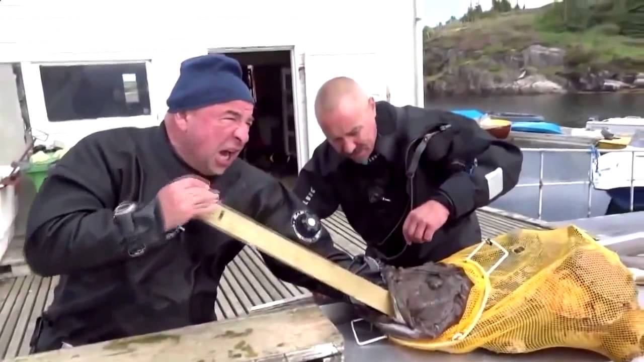 +100500 сборник видеов 2016