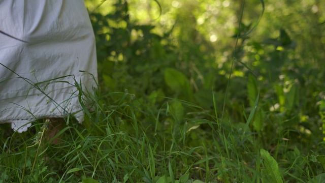 9309695-uhd_3840_2160_25fps