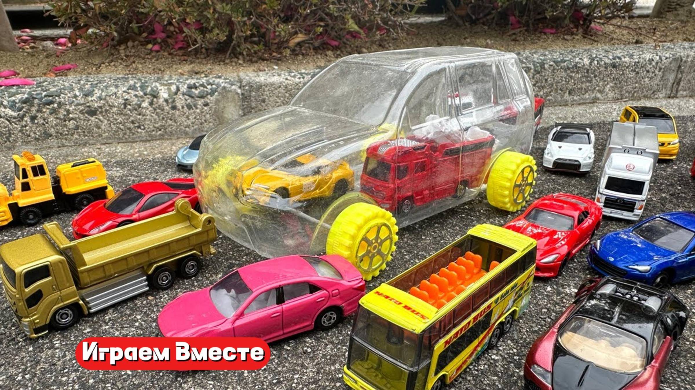 Играем вместе в машинки ! Играем на природе !