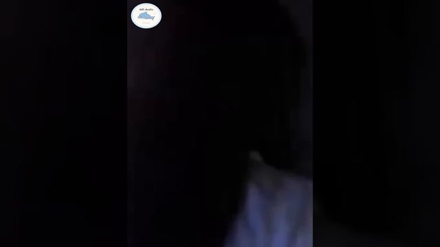 Бегство бедной девушки из брачного ада с хладнокровным генеральным директором