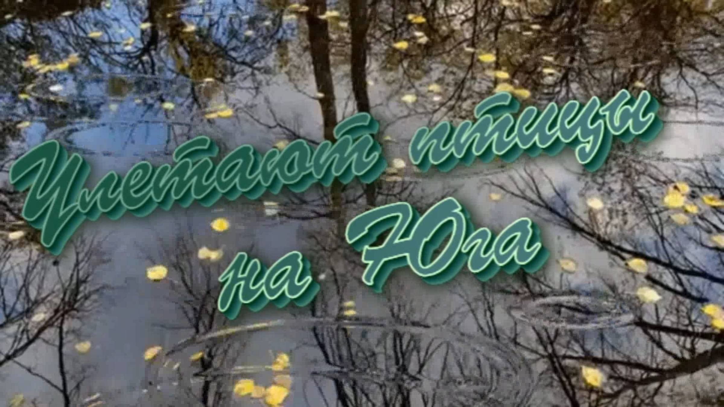 Игорь Тузов Улетают птицы на юга