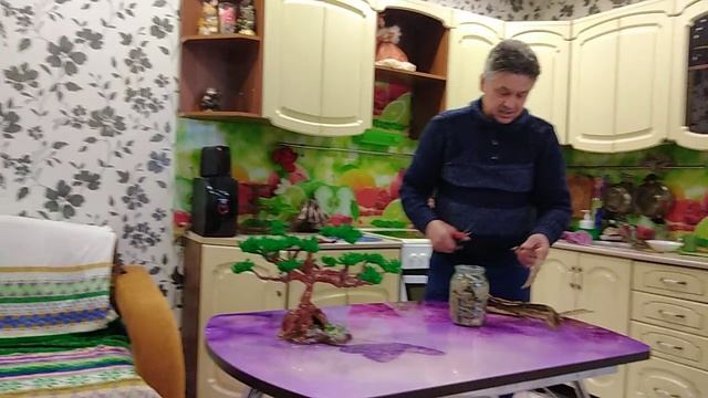 Кора осины