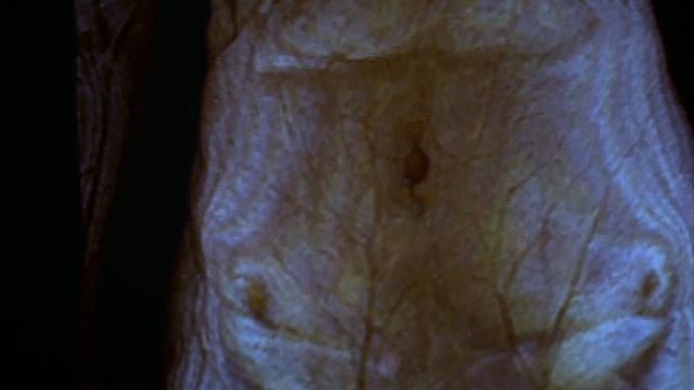 BBC: Сверхчеловек 6. Создатели детей