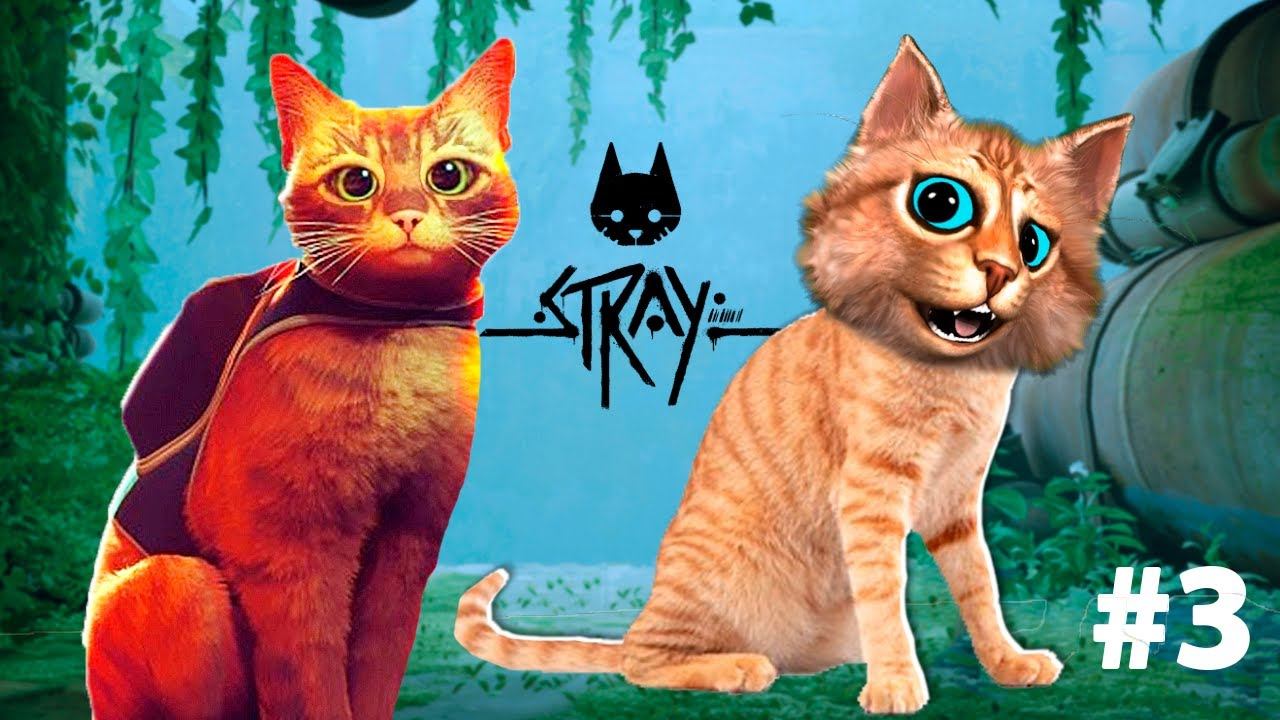 КОТ ПУТЕШЕСТВЕННИК STRAY Установка ПРИЁМОПЕРЕДАТЧИКА СИМУЛЯТОР КОТА Весёлый Кот
