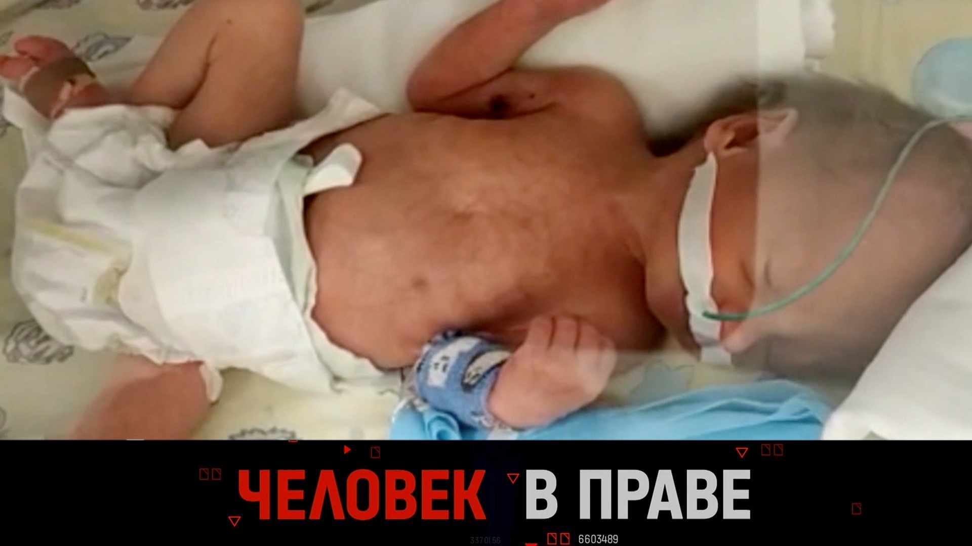 «Человек в праве с Андреем Куницыным». Выпуск от 8 декабря 2024 года