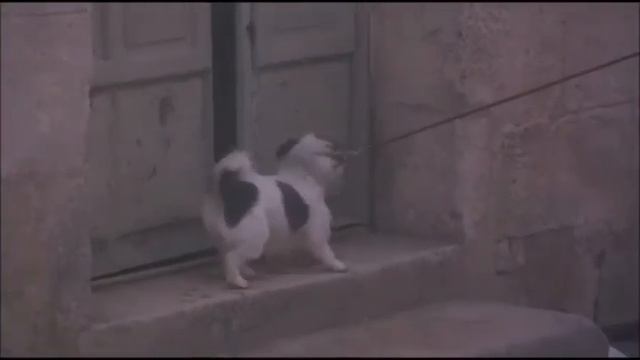 Музыка из фильма “Шоколад“