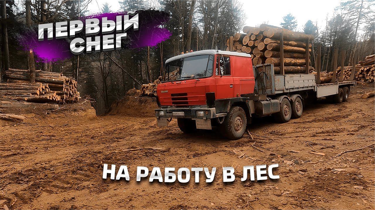 Выехали на природу | Первый снег и лесная дорога | Tatra 815