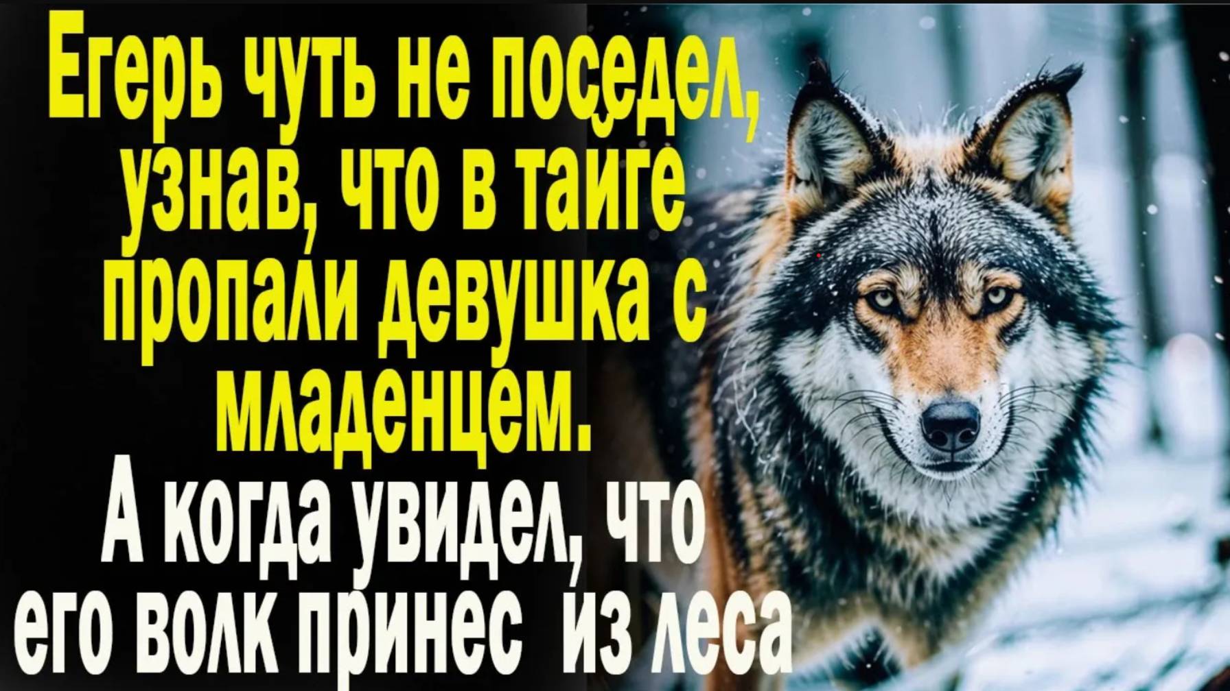 Реальные истории: "Подарок тайги" Слушать аудио рассказы. Истории онлайн