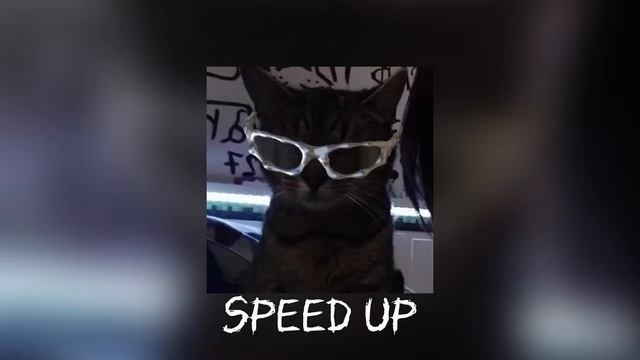 Плейлист самых вайбовых песен 2024 года🥩🥩 speed up