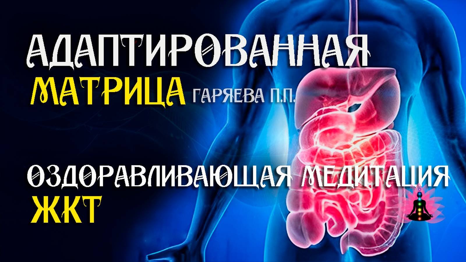 ЖКТ 🌀 Адаптированная программа матрица по технологии Гаряева ☀️ SoftRadio.ru