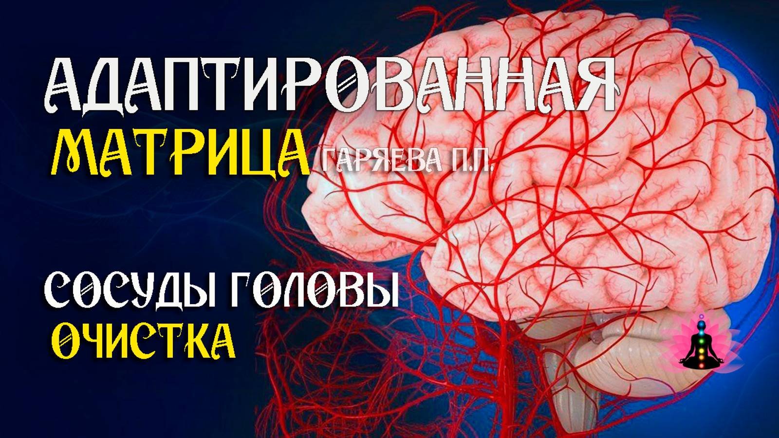 Очистка сосудов головы 🌀 Адаптированная программа матрица по технологии Гаряева ☀️ SoftRadio.ru